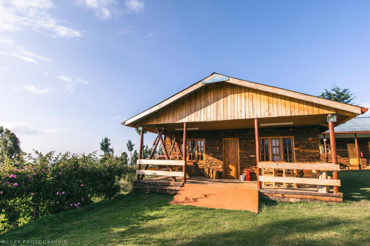 The Wonky House Apartment Timau Ngoại thất bức ảnh